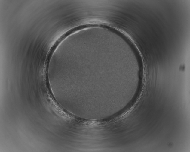 X0000114580783200911301334