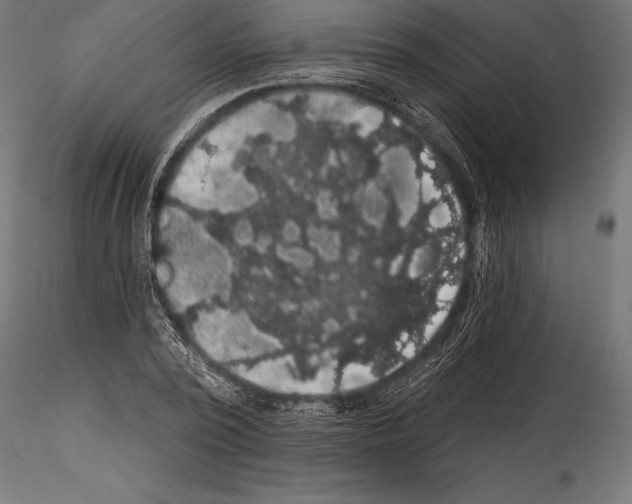 X0000114580784200911301334