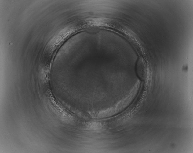 X0000114580785200911301334