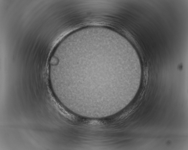 X0000114580787200911301334