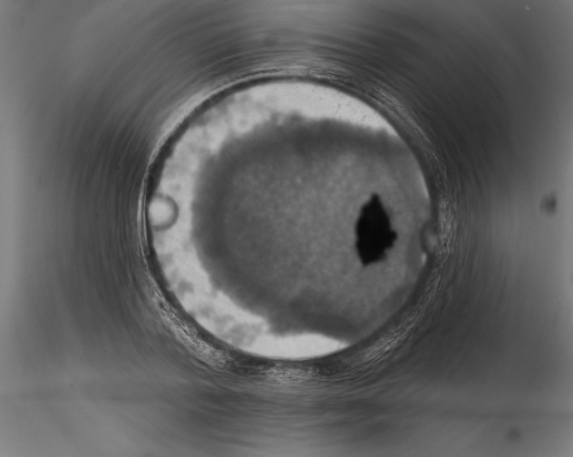 X0000114580788200911301334