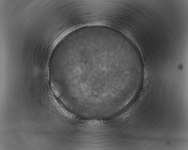 X0000114580789200911301334