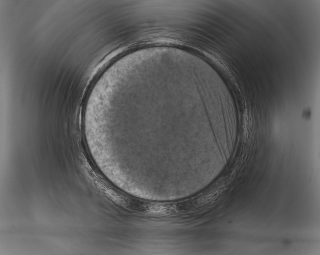 X0000114580790200911301334