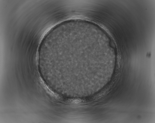 X0000114580791200911301333