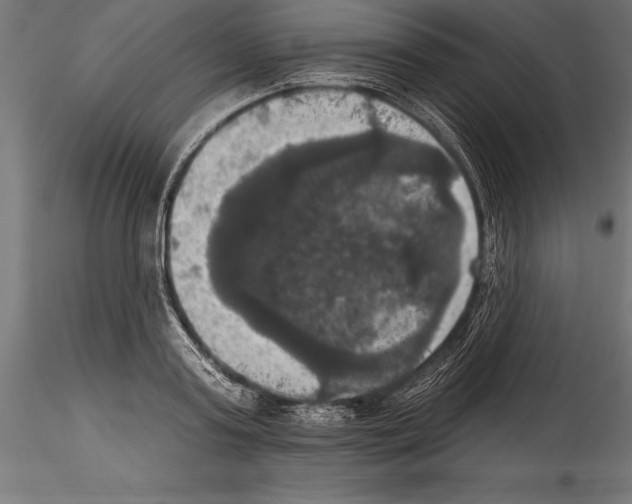 X0000114580795200911301333