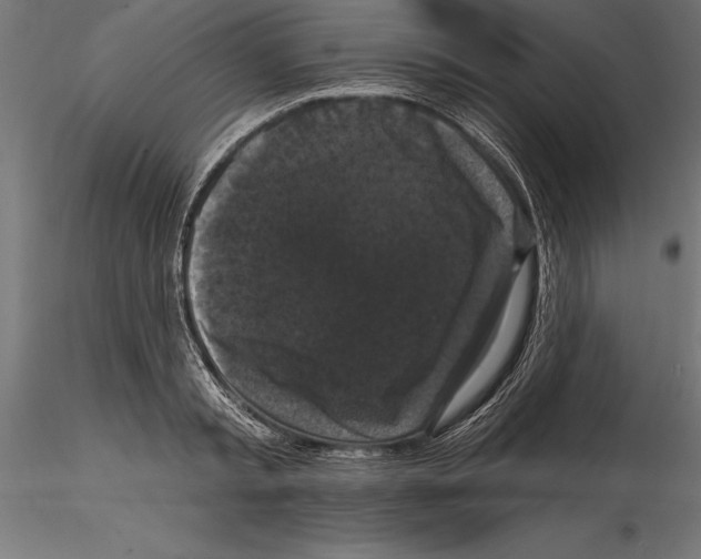 X0000114580797200911301333