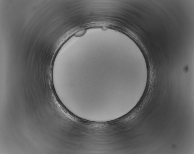 X0000114580802200911301333