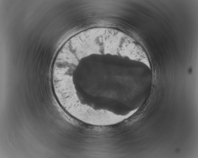 X0000114580803200911301333