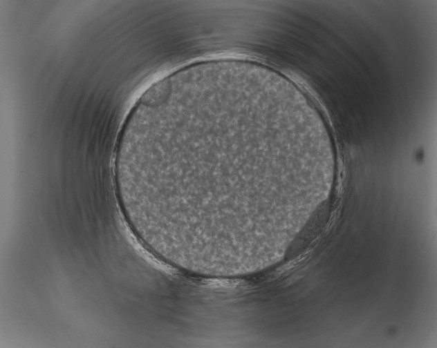 X0000114580805200911301333