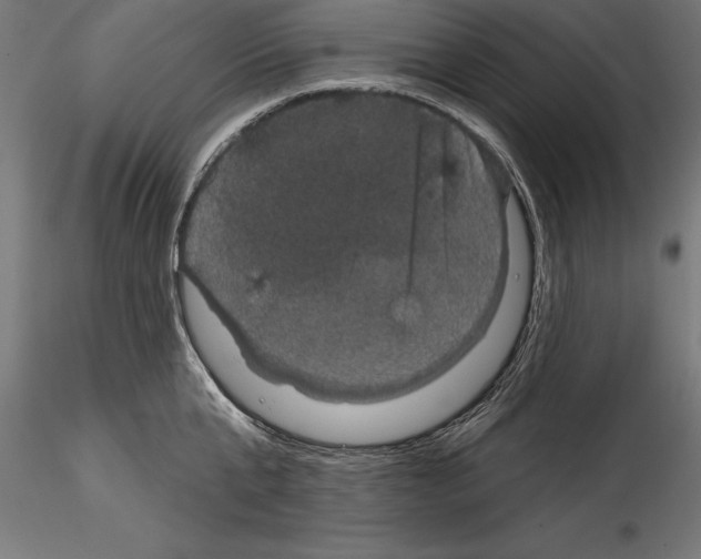 X0000114580807200911301333