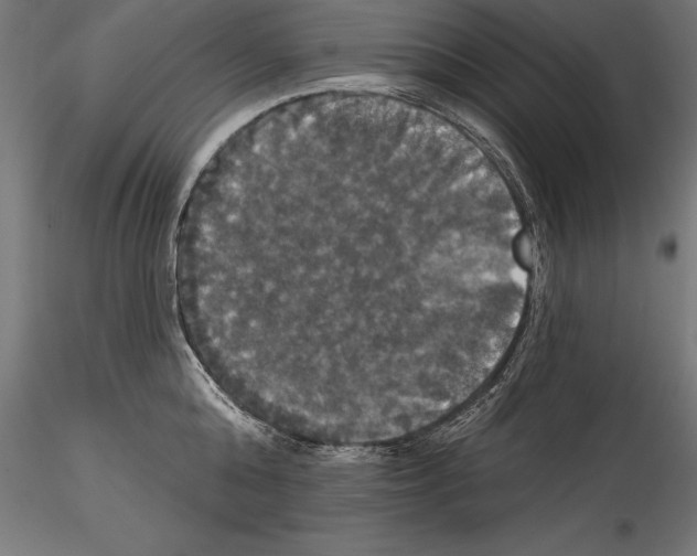 X0000114580808200911301333