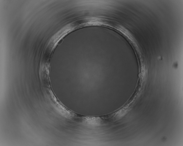 X0000114580809200911301333