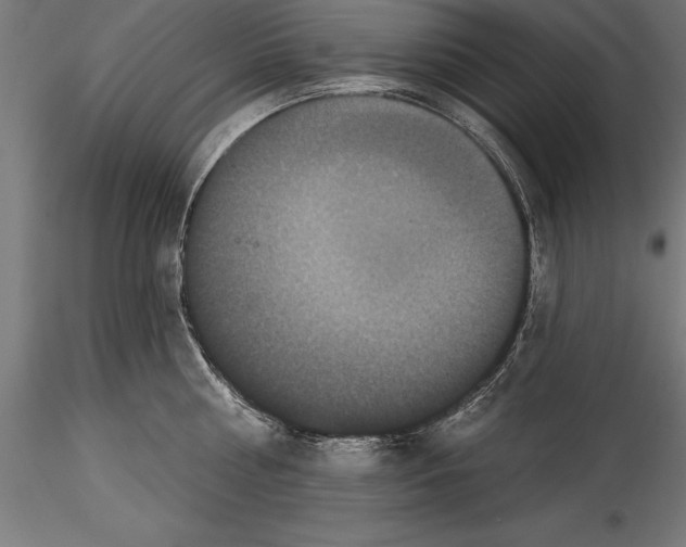 X0000114580810200911301333