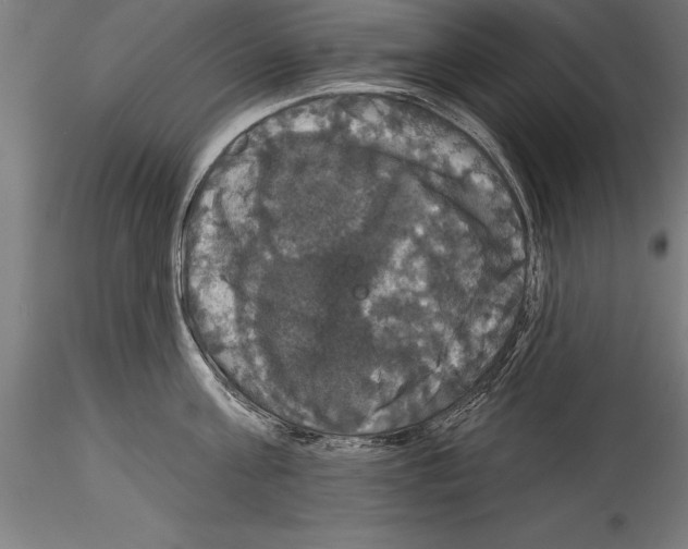 X0000114580811200911301333