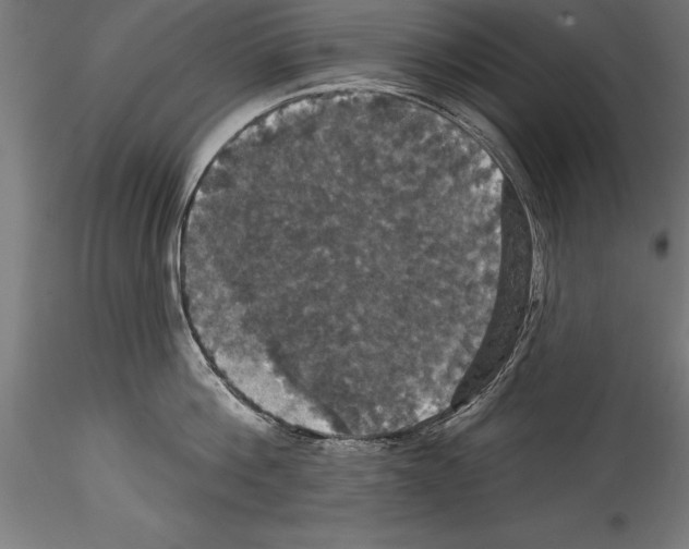 X0000114580812200911301333