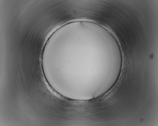 X0000114580813200911301333