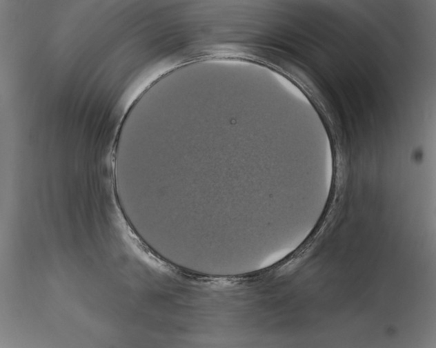 X0000114580814200911301333