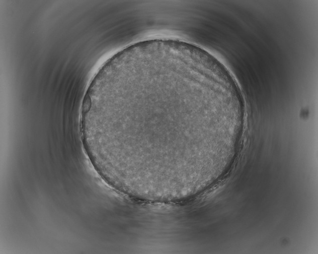 X0000114580815200911301333