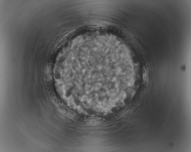 X0000114580819200911301332