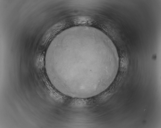 X0000114580820200911301332