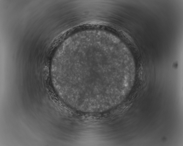 X0000114580821200911301332