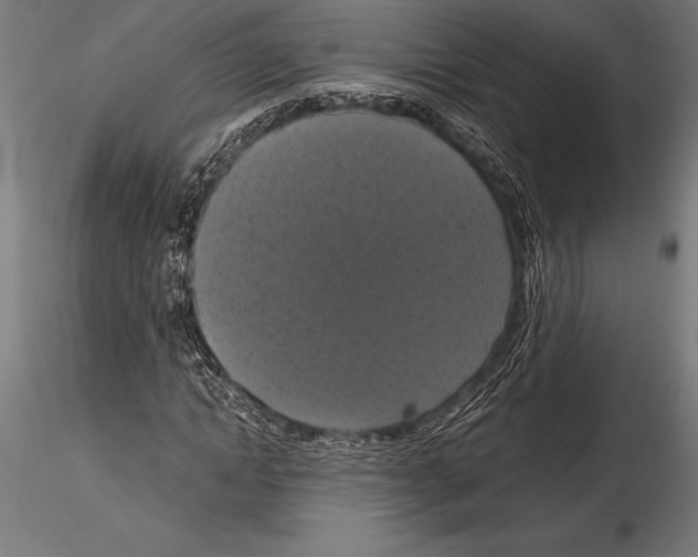 X0000114580822200911301332