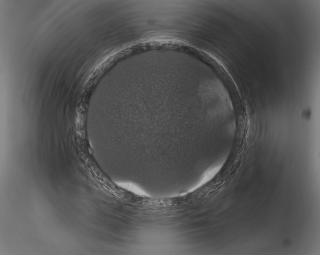 X0000114580823200911301332