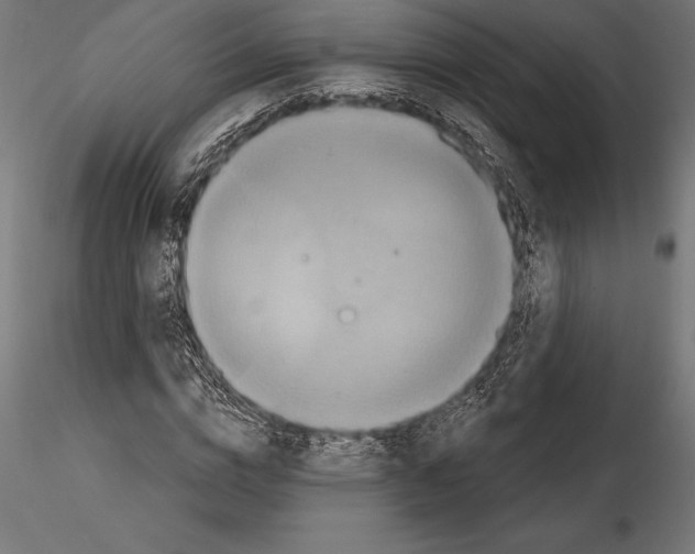 X0000114580824200911301332