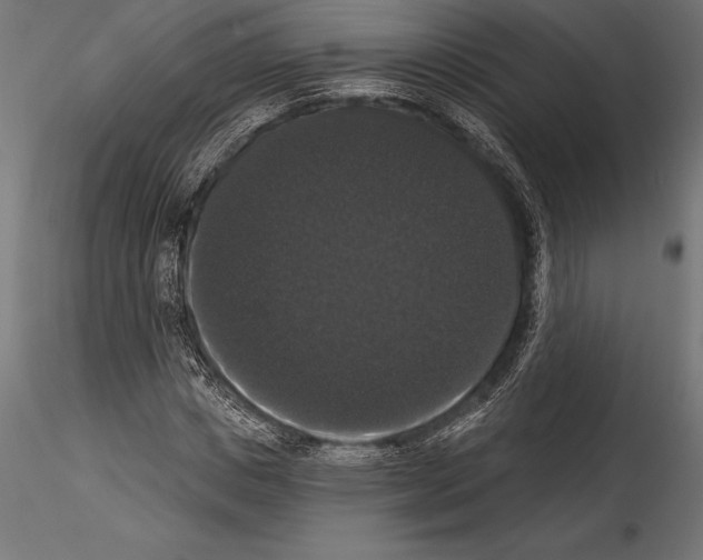 X0000114580825200911301332