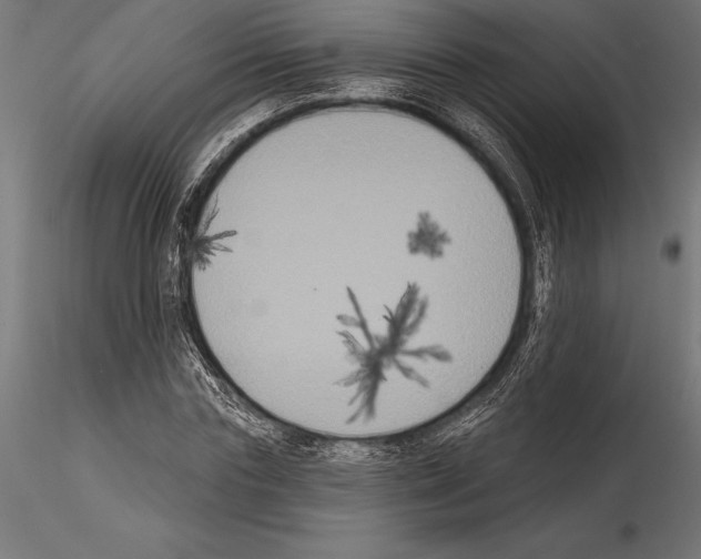 X0000114580827200911301332