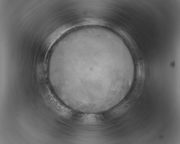 X0000114580828200911301332