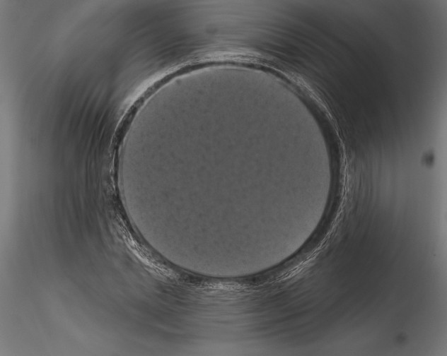 X0000114580830200911301332