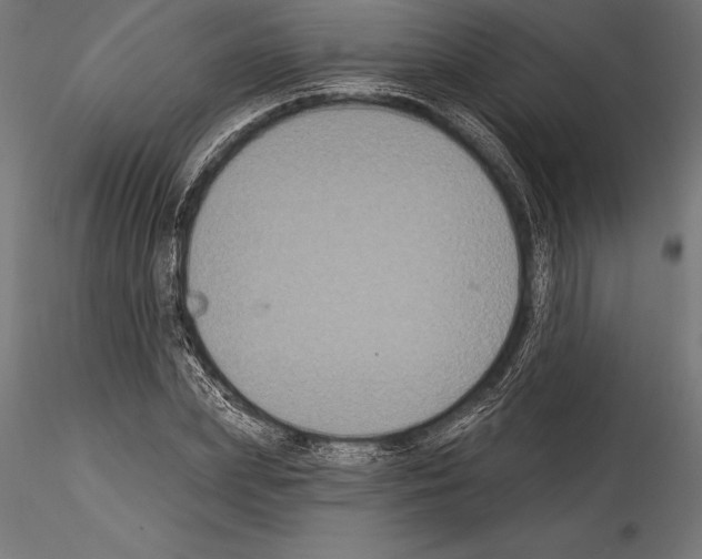 X0000114580831200911301333