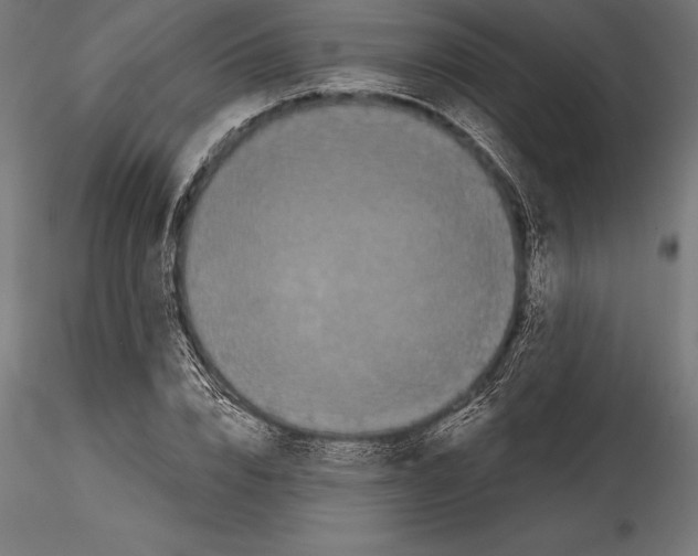 X0000114580832200911301333