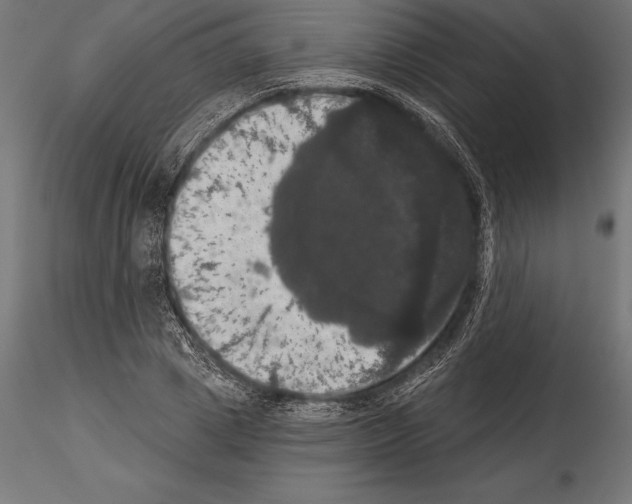 X0000114580833200911301333