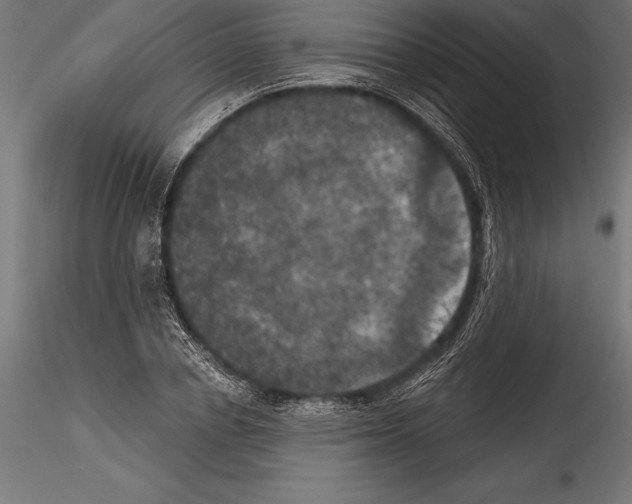 X0000114580834200911301333