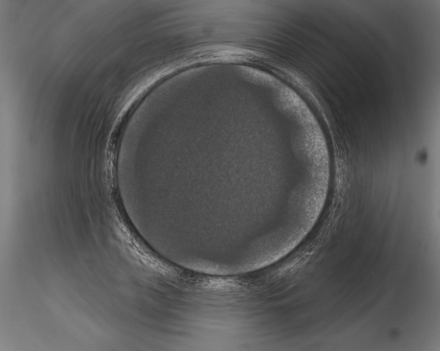 X0000114580835200911301333