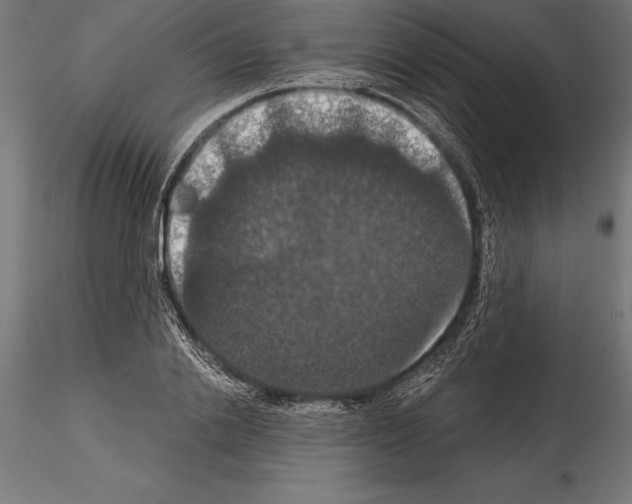 X0000114580838200911301333