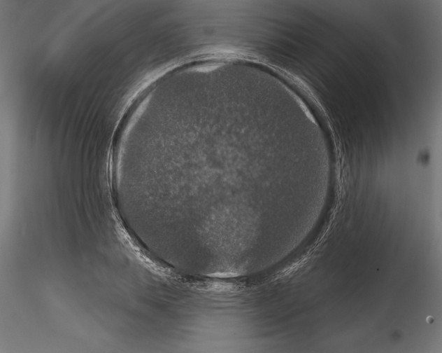 X0000114580839200911301333