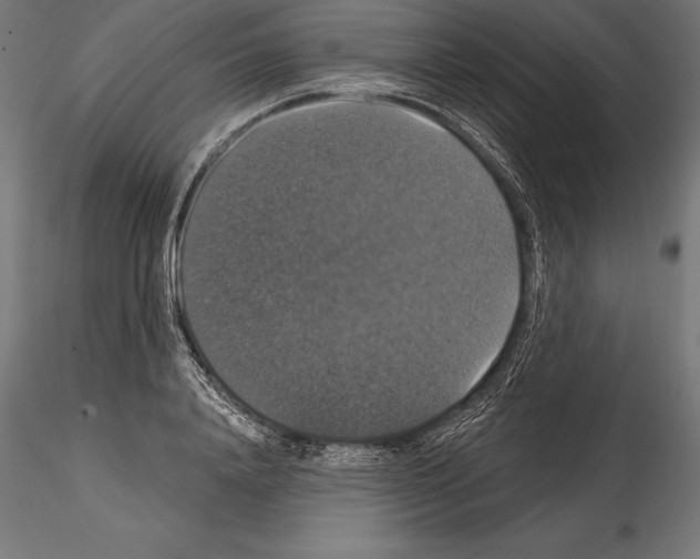 X0000114580840200911301333