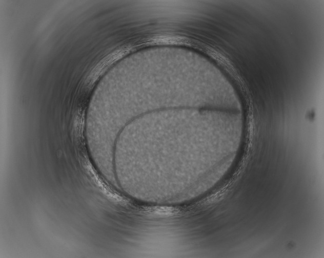 X0000114580841200911301333