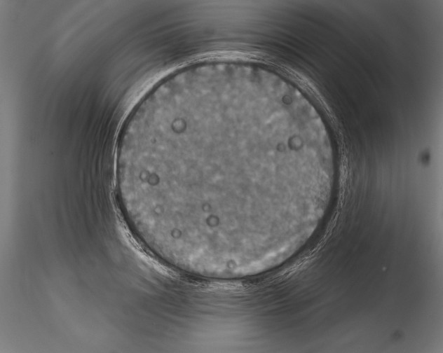 X0000114580844200911301333