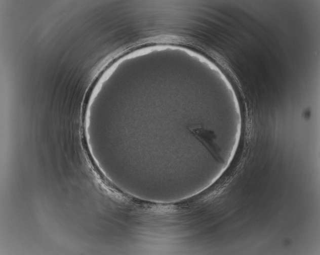 X0000114580845200911301333