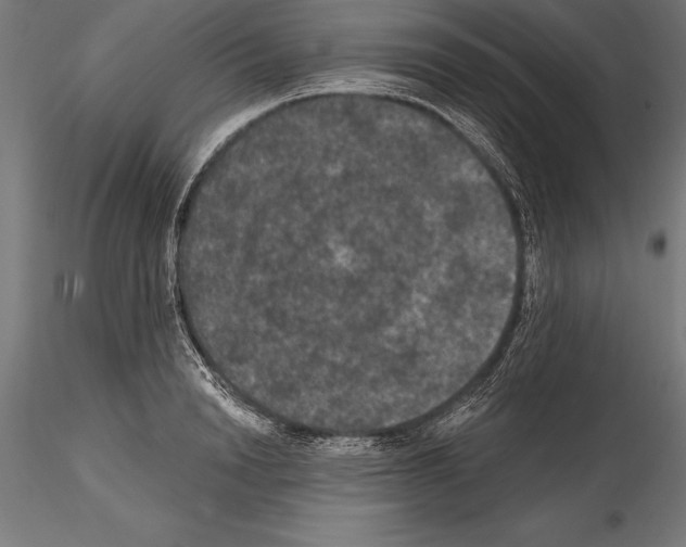 X0000114580846200911301333