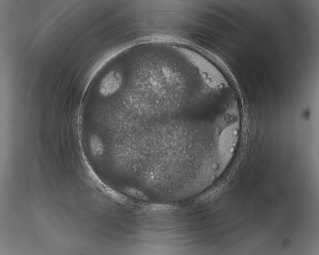 X0000114580847200911301333