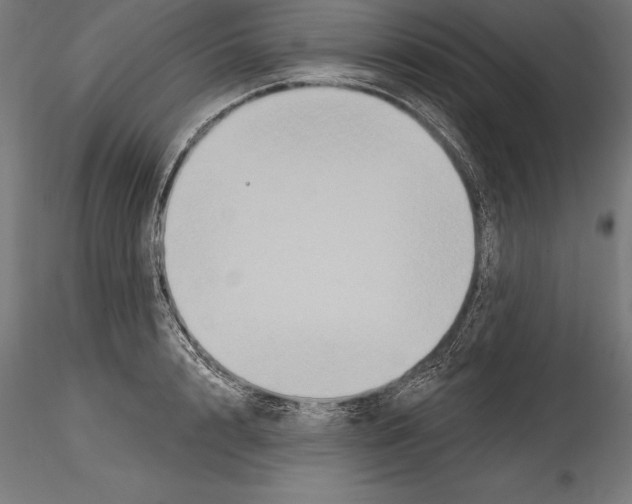 X0000114580848200911301333