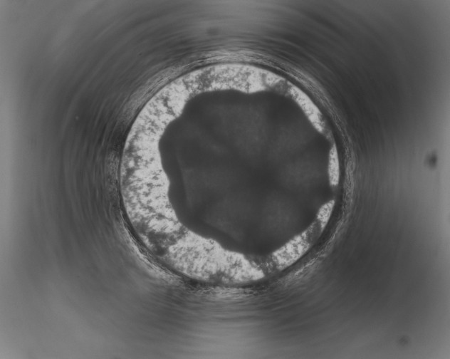 X0000114580849200911301333