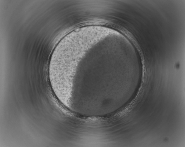 X0000114580850200911301333