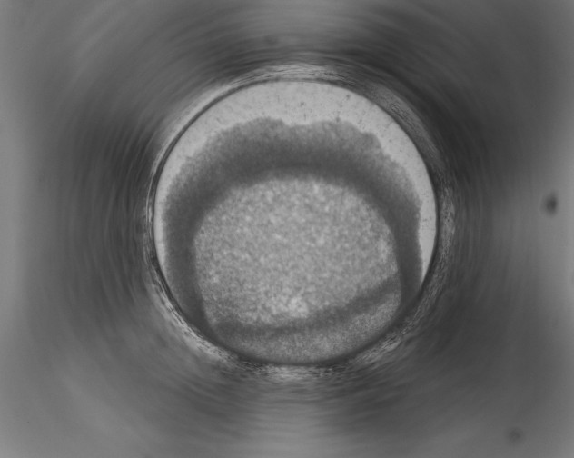 X0000114580852200911301333