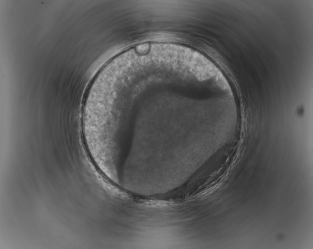 X0000114580853200911301333